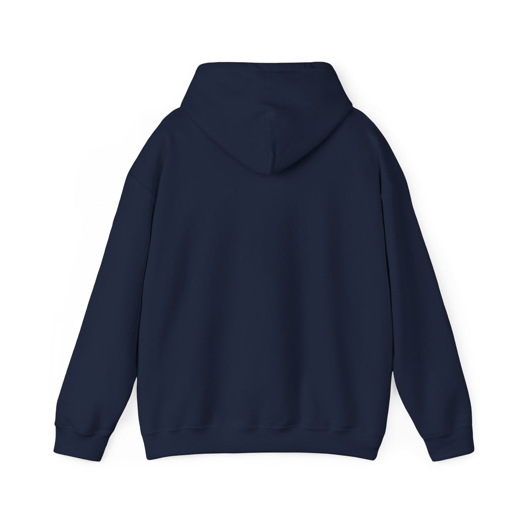 Renaissance Art Hoodie — The Birth of Venus Graphic Sweatshirt
