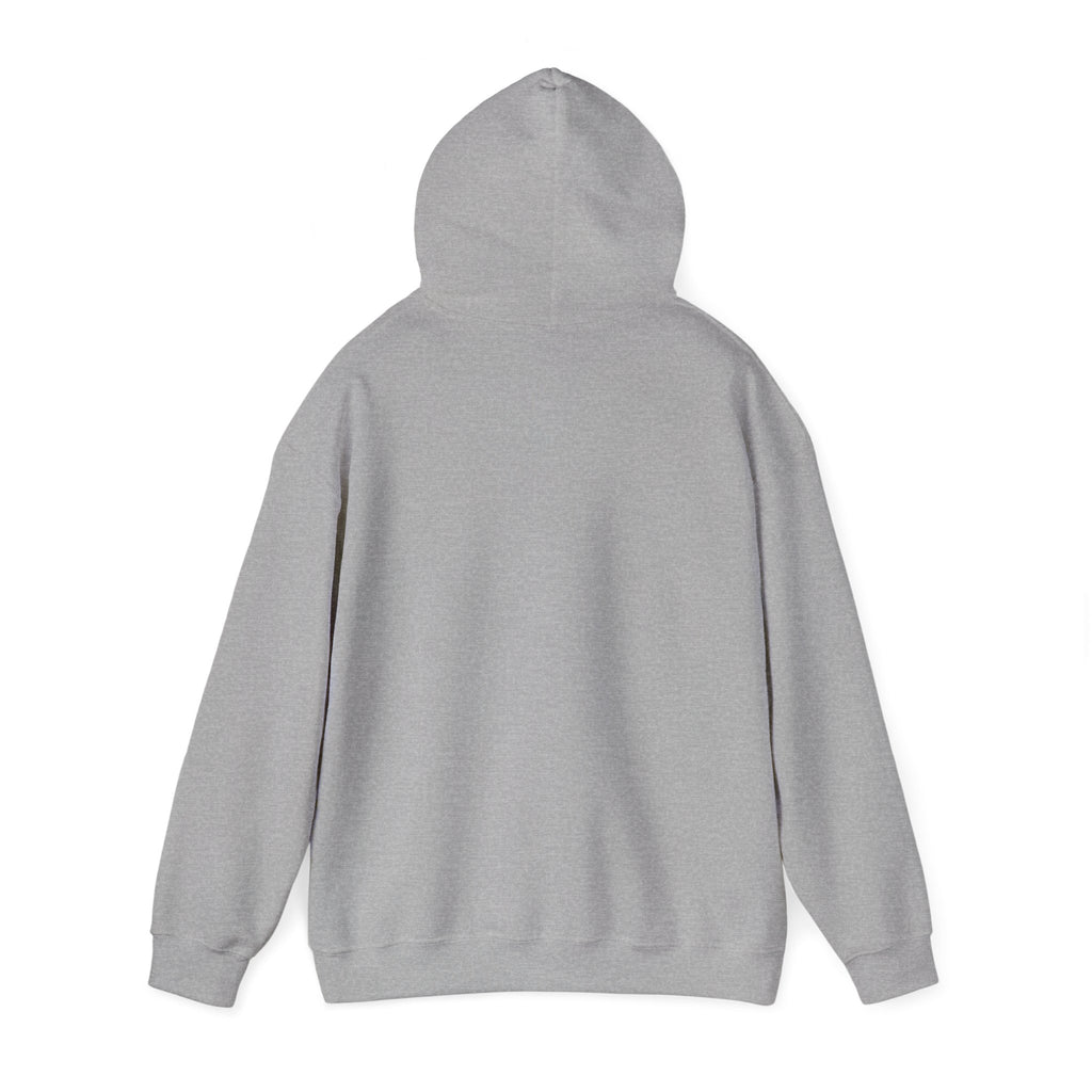 Renaissance Art Hoodie — The Birth of Venus Graphic Sweatshirt
