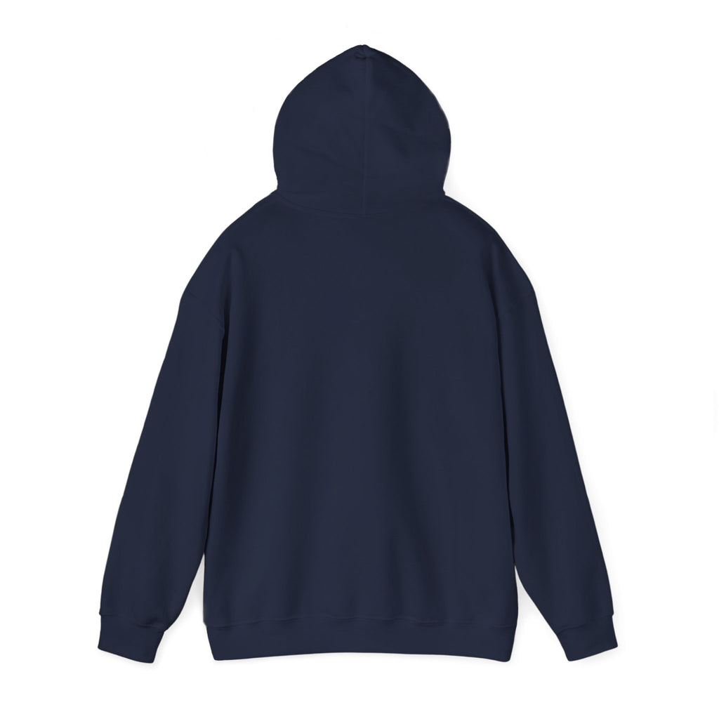 Renaissance Art Hoodie — The Birth of Venus Graphic Sweatshirt
