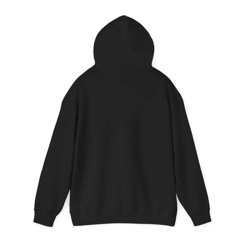 Renaissance Art Hoodie — The Birth of Venus Graphic Sweatshirt
